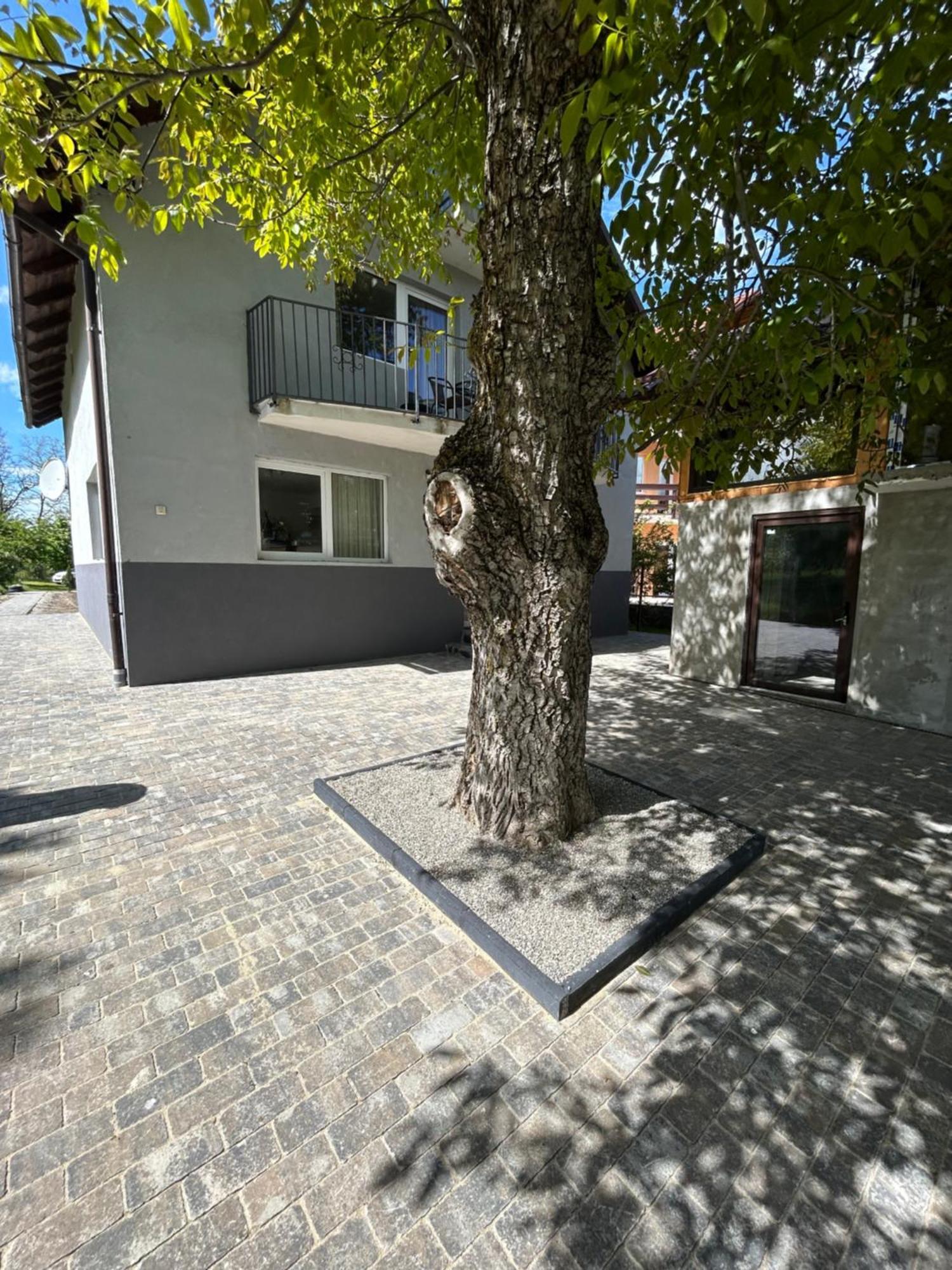 Вилла Casa Luca Ama Bran Бран Экстерьер фото