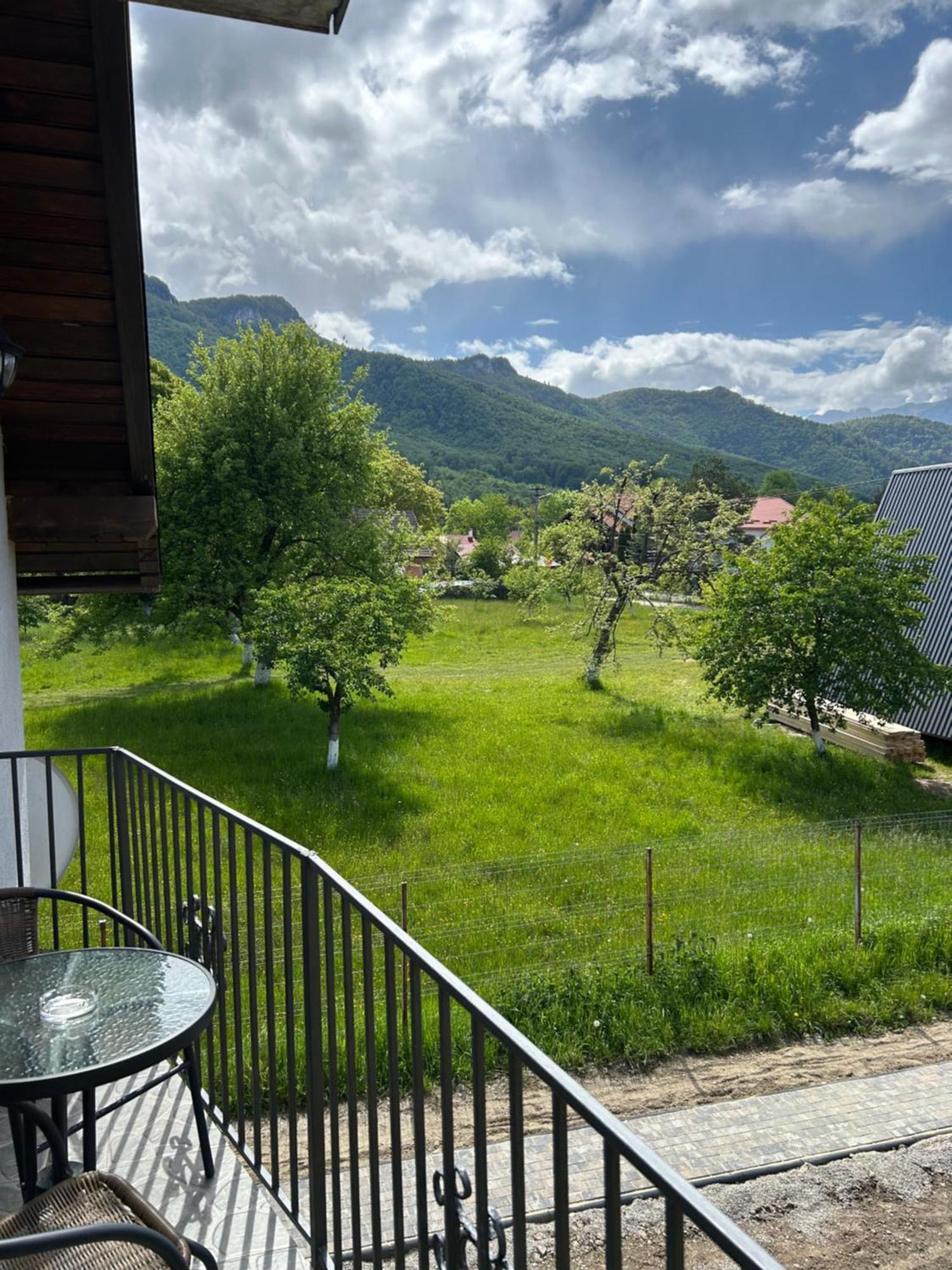 Вилла Casa Luca Ama Bran Бран Экстерьер фото