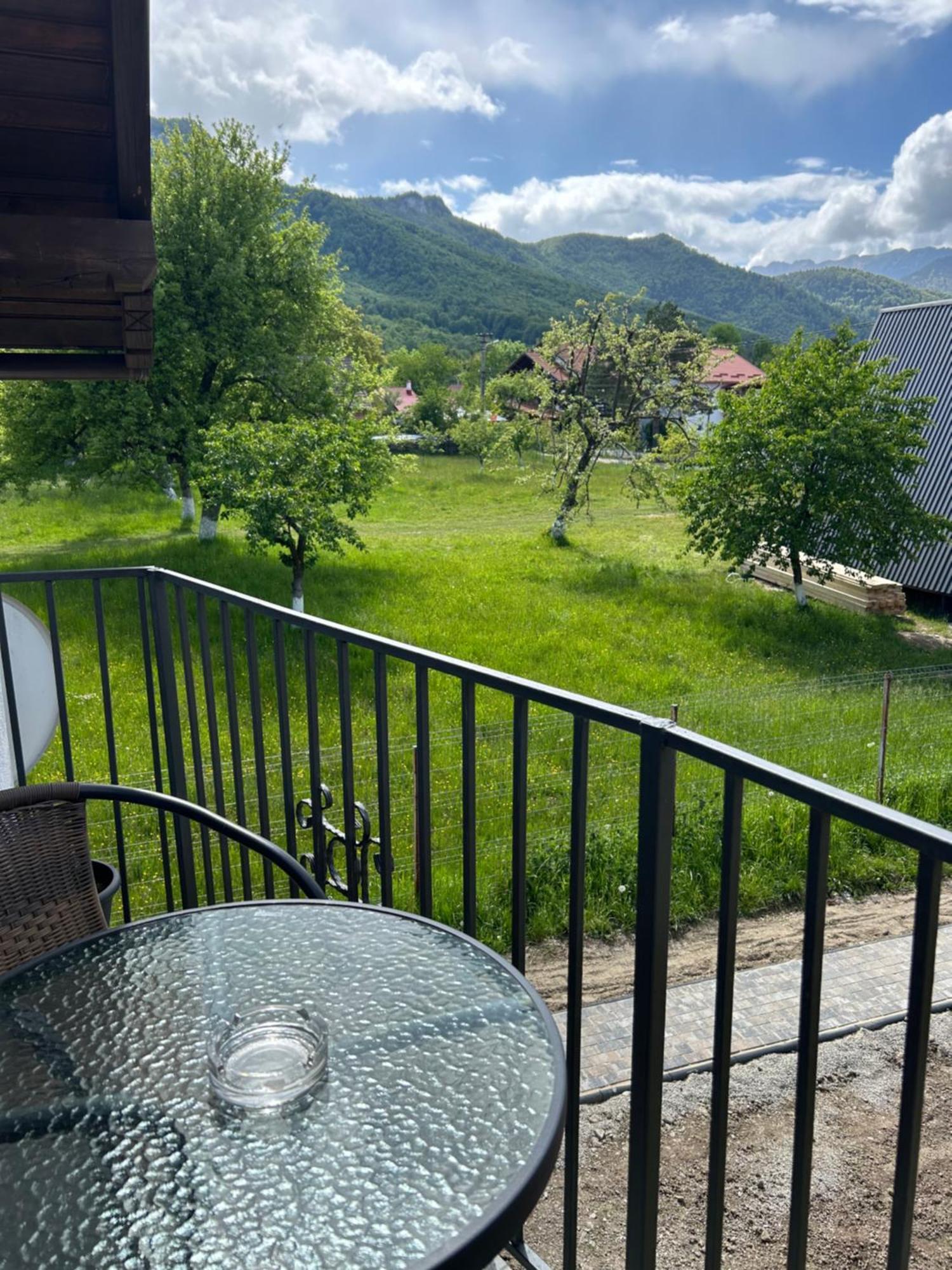 Вилла Casa Luca Ama Bran Бран Экстерьер фото